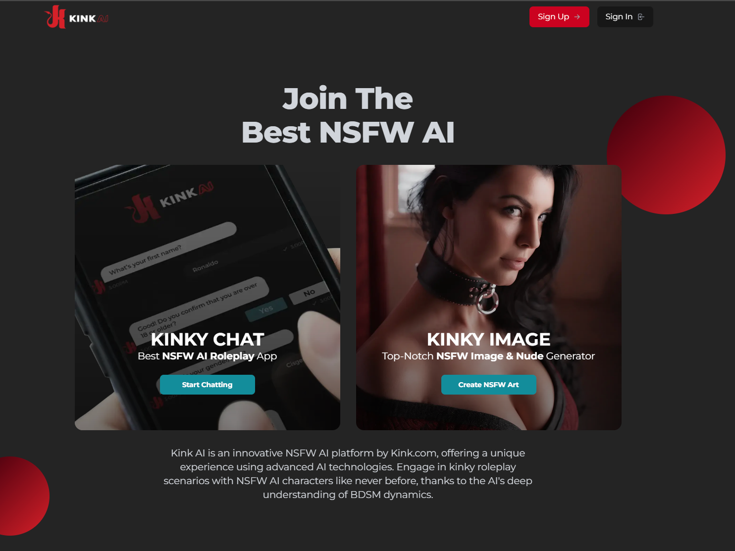 Kinky AI Chat Project Screenshot